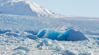 Арктика може да загуби своята ледена шапка