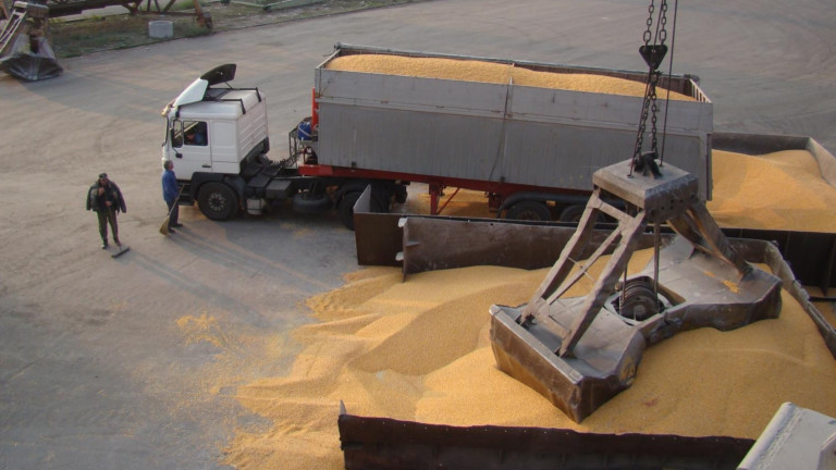 Българският износ на зърно върви слабо 
