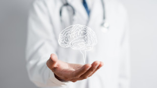 Всеки който се стреми към дълголетие иска да подпомогне както