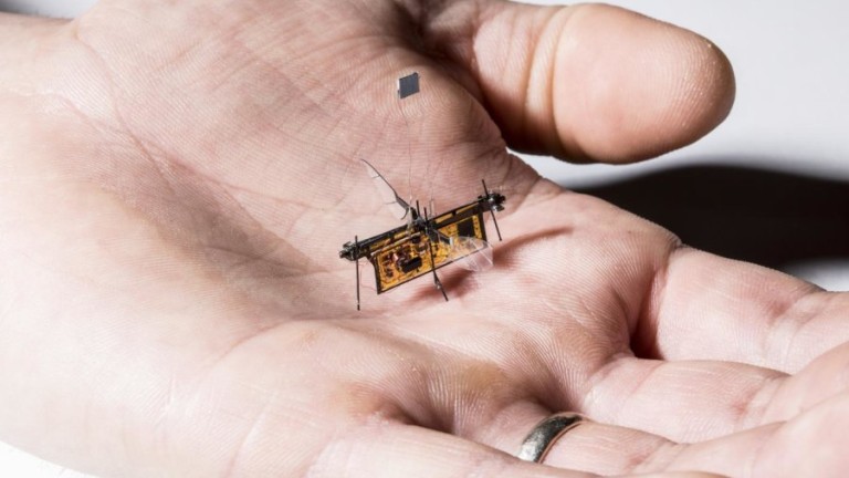 Първото безжично летящо роботизирано насекомо е факт