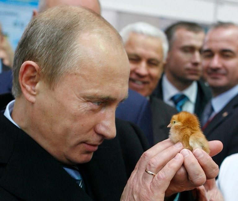 Снимка 388584