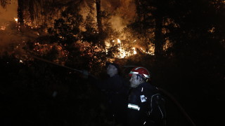 Сигналът за пожар в сухи треви в с Каменар е
