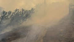 Пожар във вилна зона край Стара Загора, изгорели са 15-20 къщи
