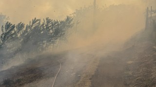 Пожар избухна днес в местността Седми километър край Стара Загора