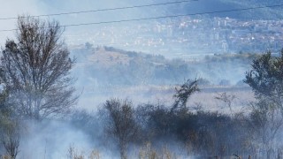 Голям пожар бушува в Петричко