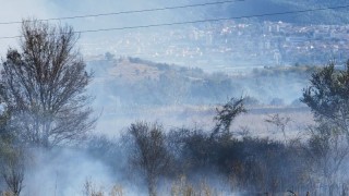 Локализиран е пожарът край Девня 