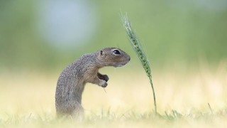 Винаги сме харесвали фотографските конкурси но този е нещо повече