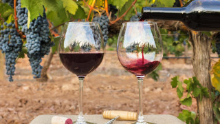 Повишаването на цените на бургундското вино може отчасти да се