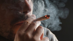 Германия се готви да легализира марихуаната до края на годината 