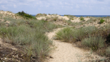  Нов закон вкарва спомагателна отбрана на дюните 