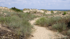 Одобриха методика за определяне на границите и вида на дюните
