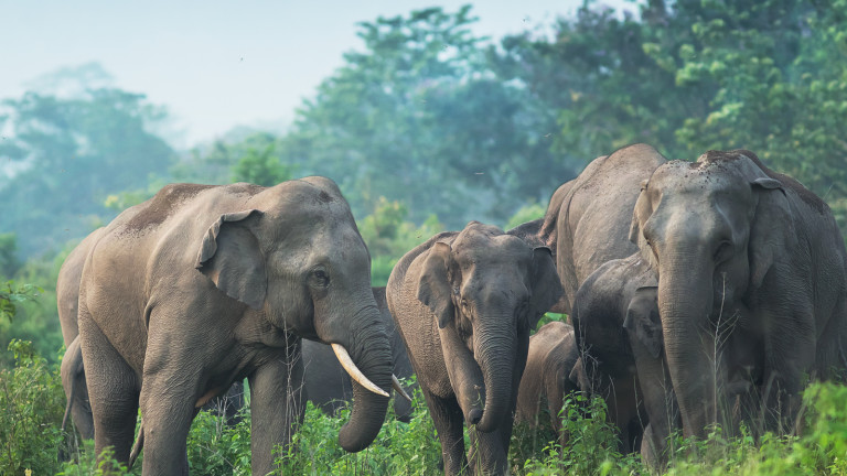 Изображение 740685