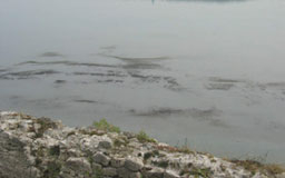 Ново мръсно петно засякоха по Дунав