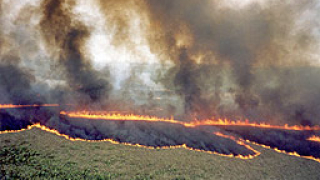 8250 дка посеви унищожени от пожари в кампанията