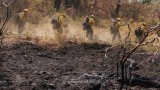 Хиляди евакуирани заради горските пожари в Калифорния 