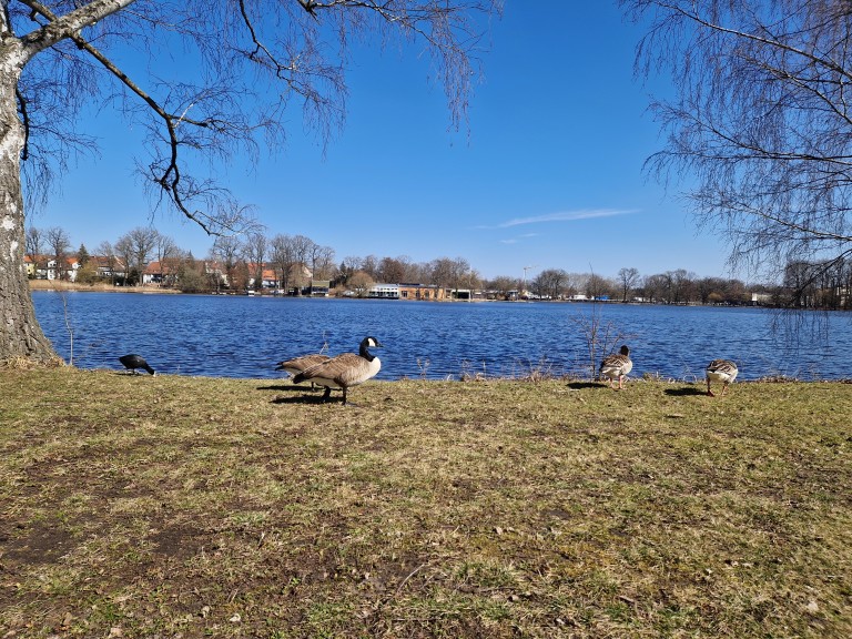 Парка наоколо до Zeppelinfeld