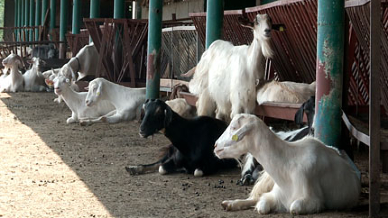 Изображение 102485