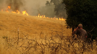 Три огромни пожара вилняха през пресъхналия пейзаж в Северна Калифорния