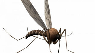 Устройство с лазер убива 100 комара за секунда