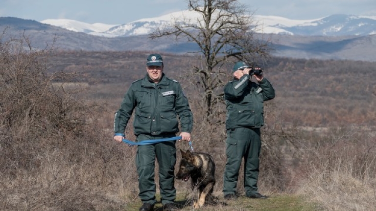 Изображение 284085