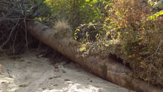 В Лом все още няма вода Бедственото положение което беше
