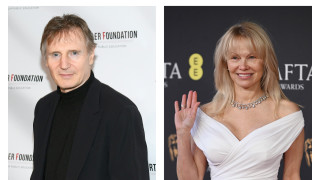 На пръв поглед Лиъм Нийсън и Памела Андерсън изглеждат като