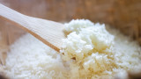 Колко струва една купа ориз? Бъдещето на най-популярната храна в света е застрашено