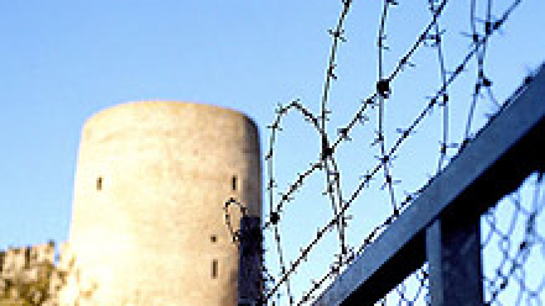 Изображение 5885