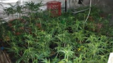 Намериха още една наркооранжерия в столичния квартал "Орландовци"