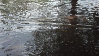 Проливен дъжд наводни улиците в Стара Загора 