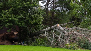 Циклонът Габриел който тази седмица вече взе жертви съобщи АФП
Загинали