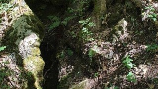 Нови пътеки за посетители се откриват в резерват Средока в