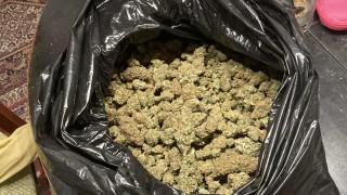 Полицейски служители откриха 53 3 килограма марихуана в местността Синия гьол