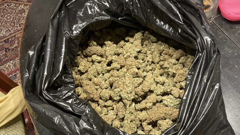 Полицейски служители откриха 53.3 килограма марихуана в местността Синия гьол