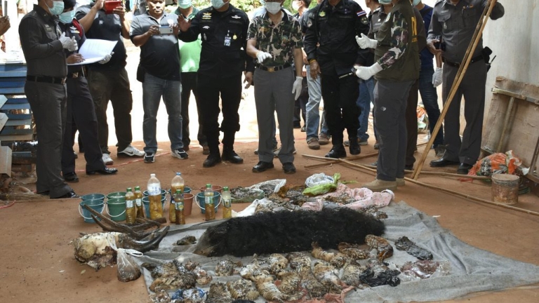 Изображение 237185