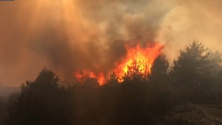 Потушиха пожара до военния полигон край Казанлък