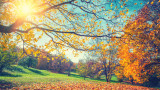  Климатичните промени, есента, листата на дърветата и по какъв начин се промени този сезон 