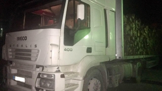 Задържаха камион с 30 куб. м незаконно добита дървесина в Бургас