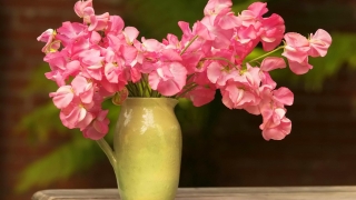 5 идеи за свежи цветя в дома