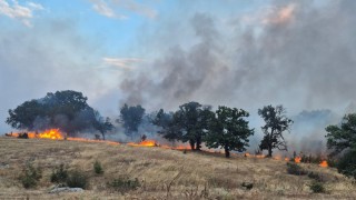200 декара горски площи над три села е обхванал пожарът