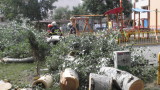 Изсъхнал клон се стовари на детска площадка в Ямбол