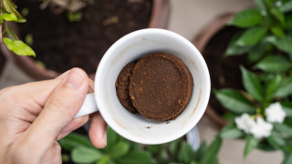 6 любопитни приложения на утайката от кафето