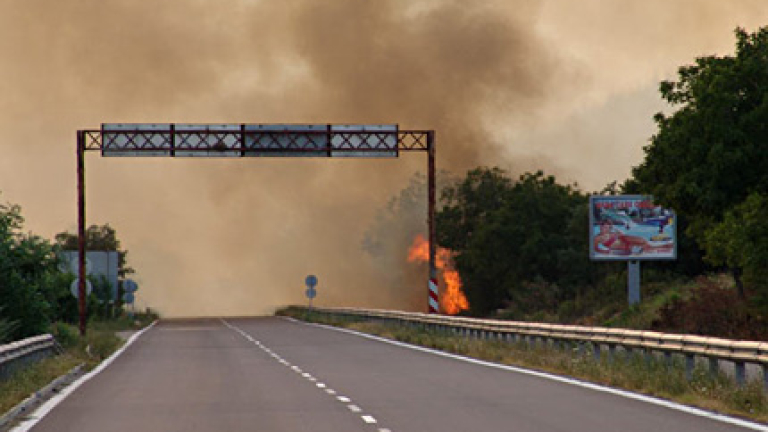 Изображение 29185