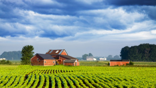 Цената на земеделската земя във Великобритания е спаднала през последните