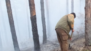 Локализиран е горският пожар който пламна днес следобед в Рила