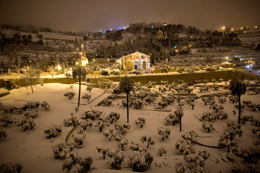 Феномен! Сняг валя в израелската пустиня 