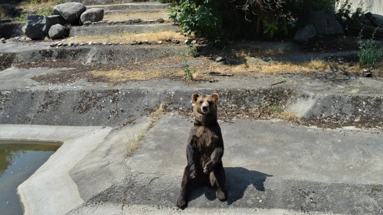 Изображение 540586