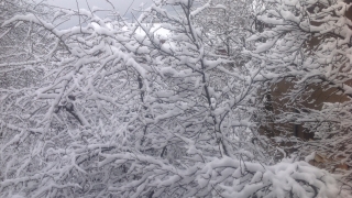 Днес преди обяд над по голямата част от страната ще е