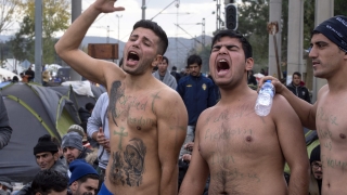 Пазим стриктно южната си граница с Турция и Гърция не само от нелегални имигранти, но и от незаконни животни