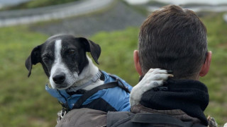 Двойката, която обикаля света на мотори с три кучета